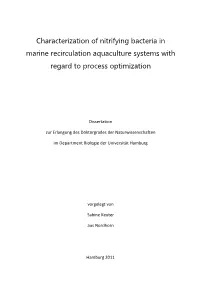 Characterization of Nitrifying Bacteria in Marine Recirculation Aquaculture Systems with Regard to Process Optimization