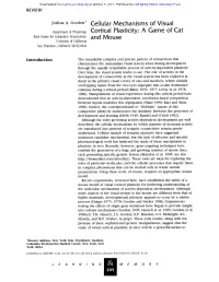 Cellular Mechanisms of Visual Cortical Plasticity: a Game of Cat and Mouse