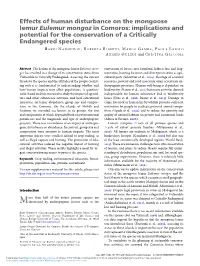 Effects of Human Disturbance on the Mongoose Lemur Eulemur Mongoz in Comoros: Implications and Potential for the Conservation of a Critically Endangered Species