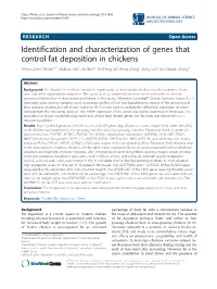 Identification and Characterization of Genes That Control Fat