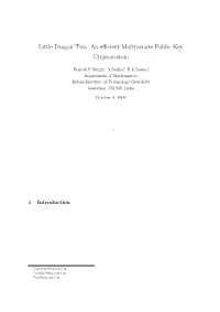 Little Dragon Two: an Efficient Multivariate Public Key Cryptosystem