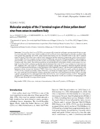 Molecular Analysis of the 3' Terminal Region of Onion Yellow Dwarf