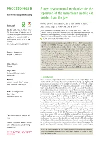 A New Developmental Mechanism for the Separation of the Mammalian