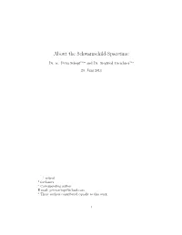 About the Schwarzschild-Spacetime