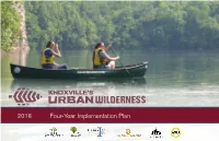 Four-Year Implementation Plan 2016