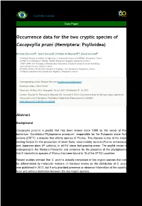 Occurrence Data for the Two Cryptic Species of Cacopsylla Pruni (Hemiptera: Psylloidea)