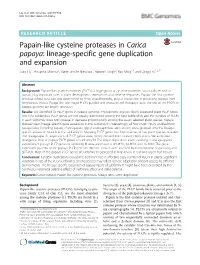 Papain-Like Cysteine Proteases in Carica Papaya: Lineage-Specific Gene Duplication and Expansion