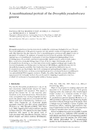 A Recombinational Portrait of the Drosophila Pseudoobscura Genome