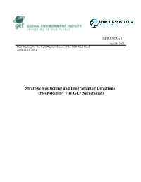 Strategic Positioning and Programming Directions (PREPARED by the GEF Secretariat)