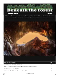 Beneath the Forest" Is a Biannual Newsletter Published by the Forest Service of the U.S