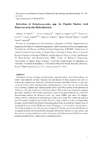 Detection of Dehalococcoides Spp. by Peptide Nucleic Acid Fluorescent in Situ Hybridization