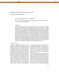The Development of Cellular Stalks in Bacteria