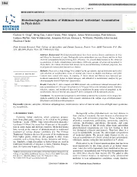 Biotechnological Induction of Shikimate-Based Antioxidant Accumulation in Phyla Dulcis