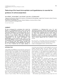 Cortical Projections in Nkx2-1 Mutants