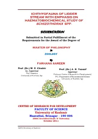 Schizothorax Spp