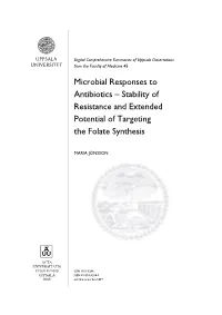 Stability of Resistance and Extended Potential of Targeting the Folate Synthesis
