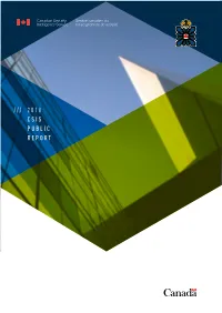 2018 Csis Public Report