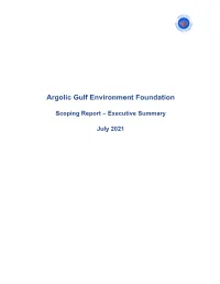 Executive Summary