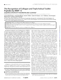 The Recognition of Collagen and Triple-Helical Toolkit Peptides By