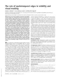 The Role of Spatiotemporal Edges in Visibility and Visual Masking