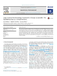 Large Mammal Biochronology Framework in Europe at Jaramillo: the Epivillafranchian As a Formal Biochron