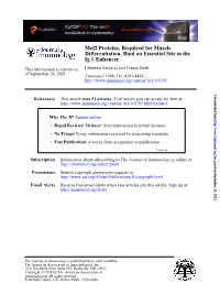 Enhancer Λ Ig Differentiation, Bind an Essential Site in the Mef2 Proteins