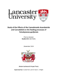 Study of the Effects of the Cannabinoids Anandamide and Cannabidiol on the Feeding Processes of Tetrahymena Pyriformis