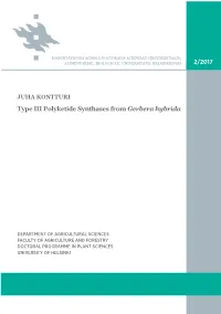 Type III Polyketide Synthases from Gerbera Hybrida