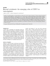 Beyond Cytokinesis: the Emerging Roles of CEP55 in Tumorigenesis