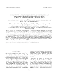 Microsatellite-Based Genetic Variability and Differentiation of Hatchery and Feral Common Carp Cyprinus Carpio L