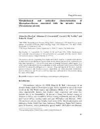 Morphological and Molecular Characterisation of Mycosphaerellaceae Associated with the Invasive Weed, Chromolaena Odorata