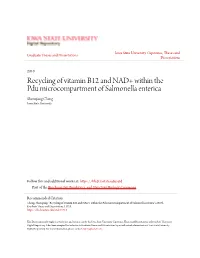 Recycling of Vitamin B12 and NAD+ Within the Pdu Microcompartment of Salmonella Enterica Shouqiang Cheng Iowa State University