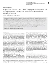 Replication Factor C3 Is a CREB Target Gene That Regulates Cell Cycle Progression Through the Modulation of Chromatin Loading of PCNA