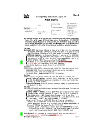 434 Consigned by Select Sales, Agent XXI Red Curls