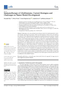 Immunotherapy of Glioblastoma: Current Strategies and Challenges in Tumor Model Development
