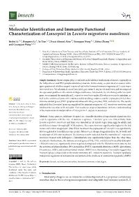 Molecular Identification and Immunity Functional Characterization Of