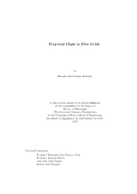 Perpetual Flight in Flow Fields