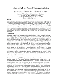 Advanced Study of a Tokamak Transmutation System