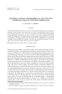 Anetholea ANISATA Transferred To, and Two New Australian Taxa Of, Syzygium (Myrtaceae)