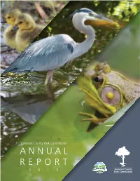 Annual Report 2019 Table of Contents