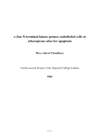 C-Jun N-Terminal Kinase Primes Endothelial Cells at Atheroprone Sites for Apoptosis