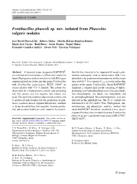 Fontibacillus Phaseoli Sp. Nov. Isolated from Phaseolus Vulgaris Nodules