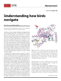 Understanding How Birds Navigate