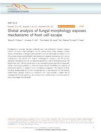 Global Analysis of Fungal Morphology Exposes Mechanisms of Host Cell Escape