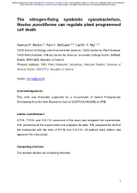 The Nitrogen-Fixing Symbiotic Cyanobacterium, Nostoc Punctiforme Can Regulate Plant Programmed Cell Death