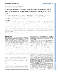 A Membrane-Associated Β-Catenin/Oct4 Complex Correlates