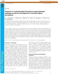 Progress in Understanding Pseudocercospora Banana Pathogens and the Development of Resistant Musa Germplasm