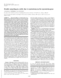 Double Muscling in Cattle Due to Mutations in the Myostatin Gene