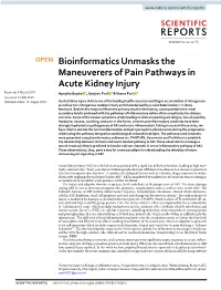 Bioinformatics Unmasks the Maneuverers of Pain Pathways In