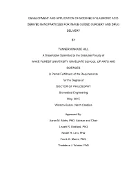 Development and Application of Modified Hylauronic Acid